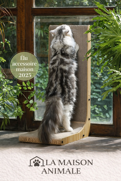 Griffoir pour Chat GriffZen™