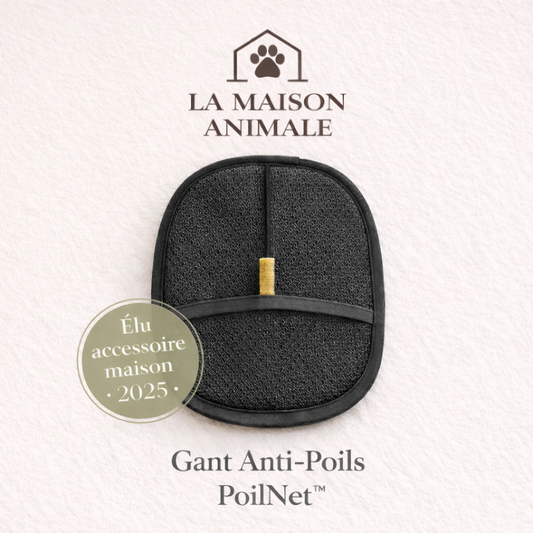 Gant anti-poils PoilNet™ pour chien et chat, enlève les poils morts et masse le pelage
