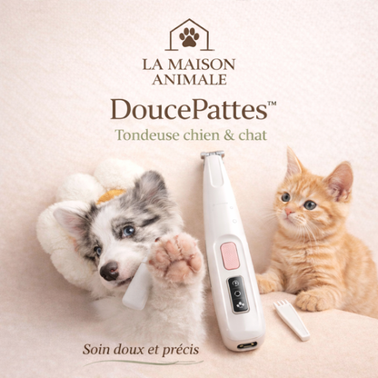 Tondeuse de toilettage DoucePattes™ avec LED pour chien et chat, coupe précise et silencieuse